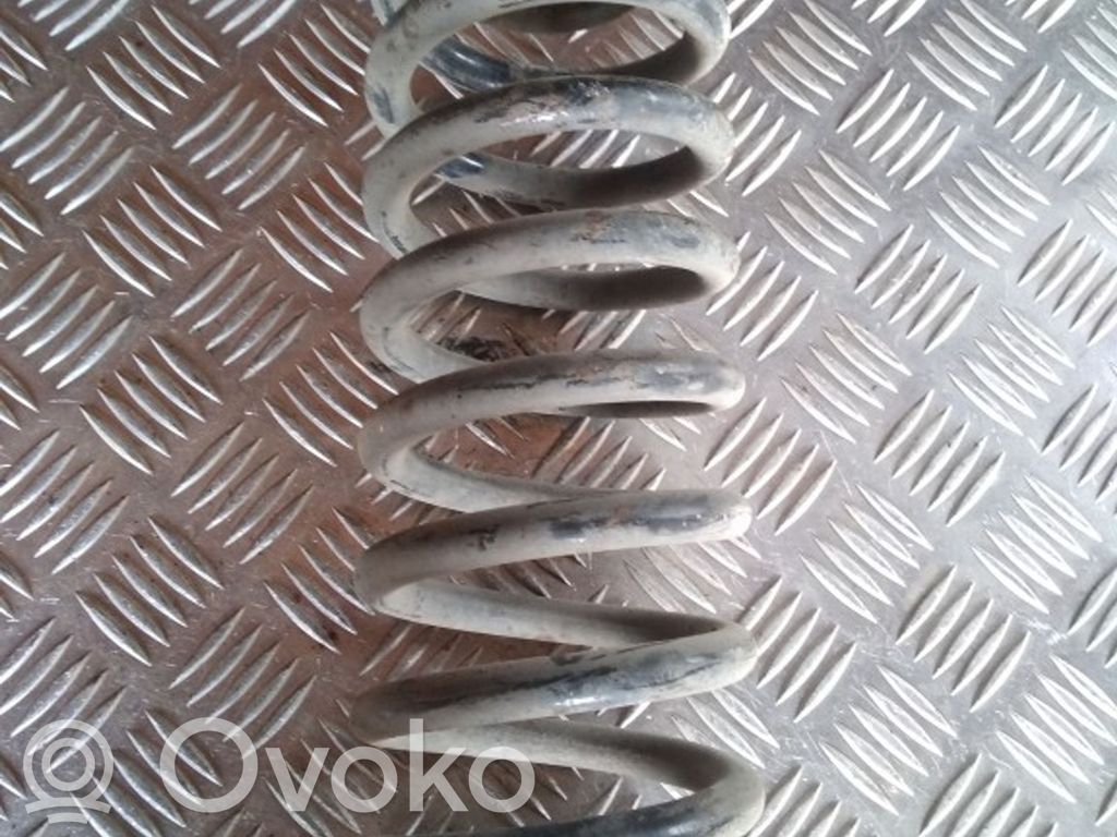 Rear coil spring