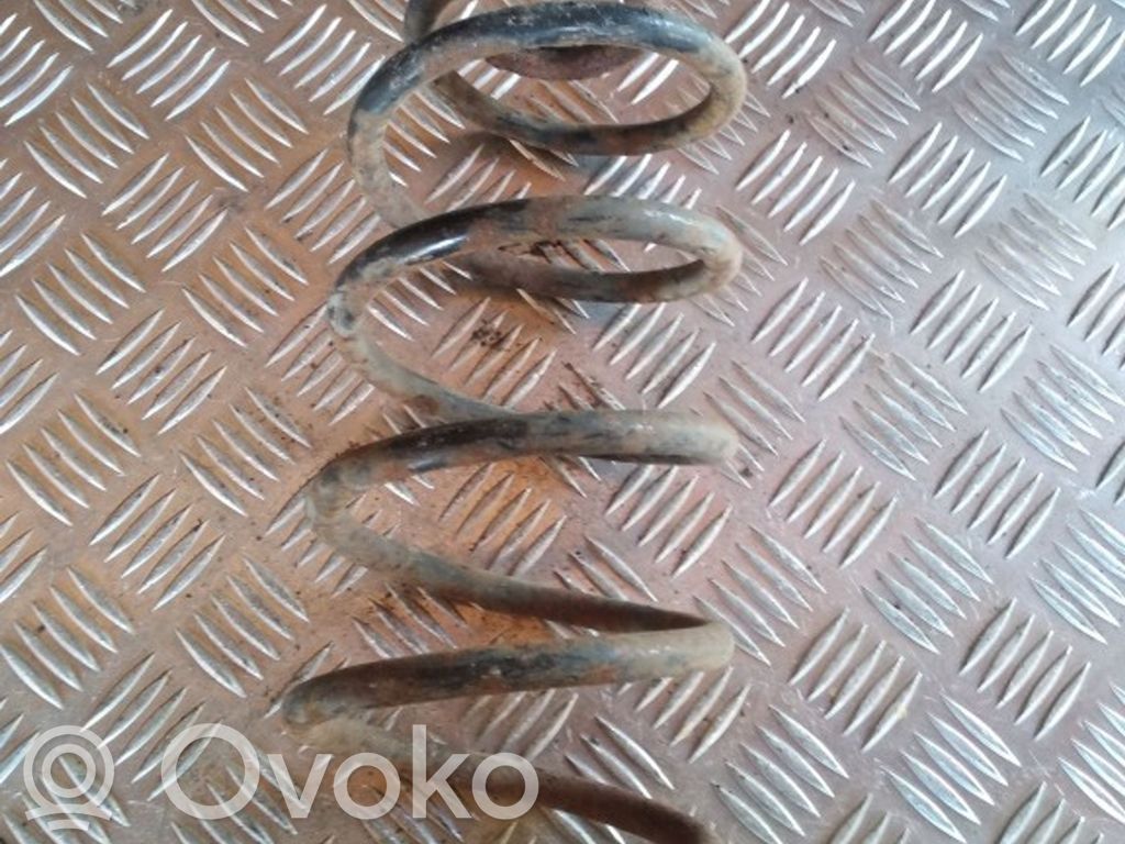Rear coil spring