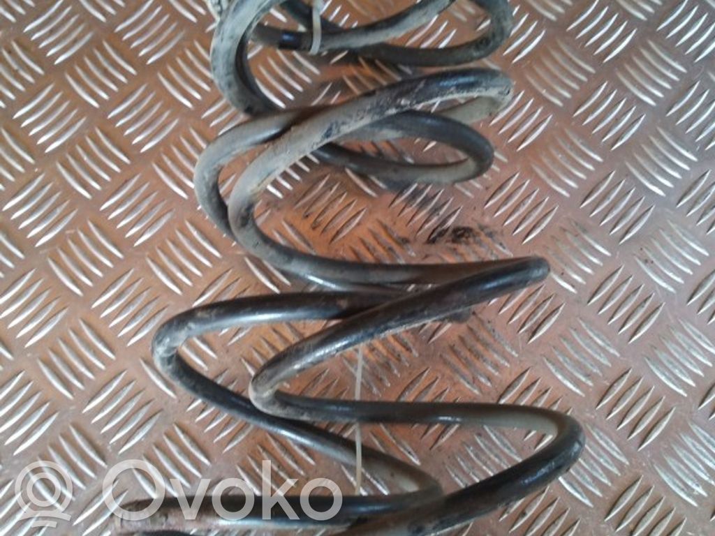 Front coil spring
