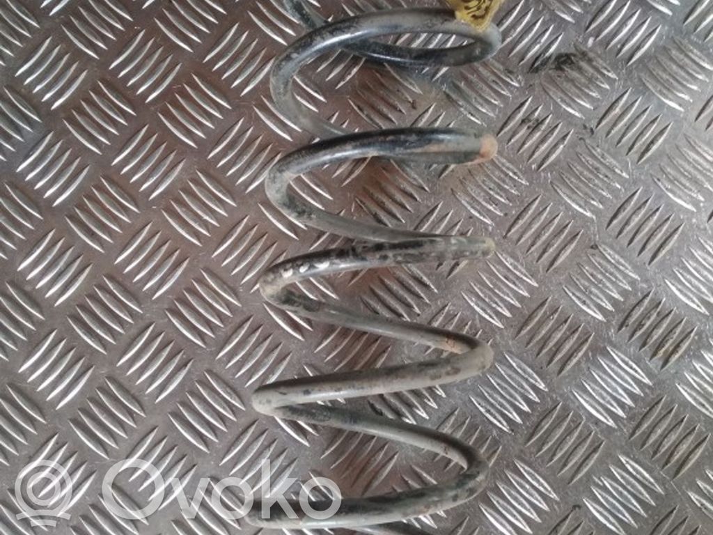 Front coil spring