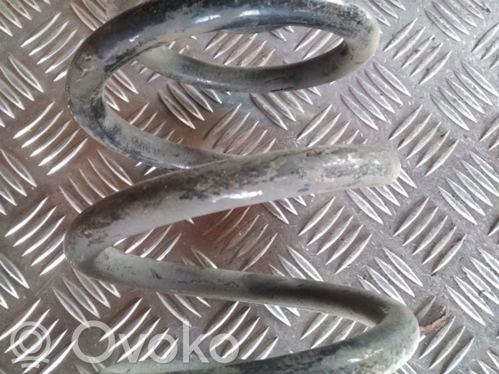 Rear coil spring