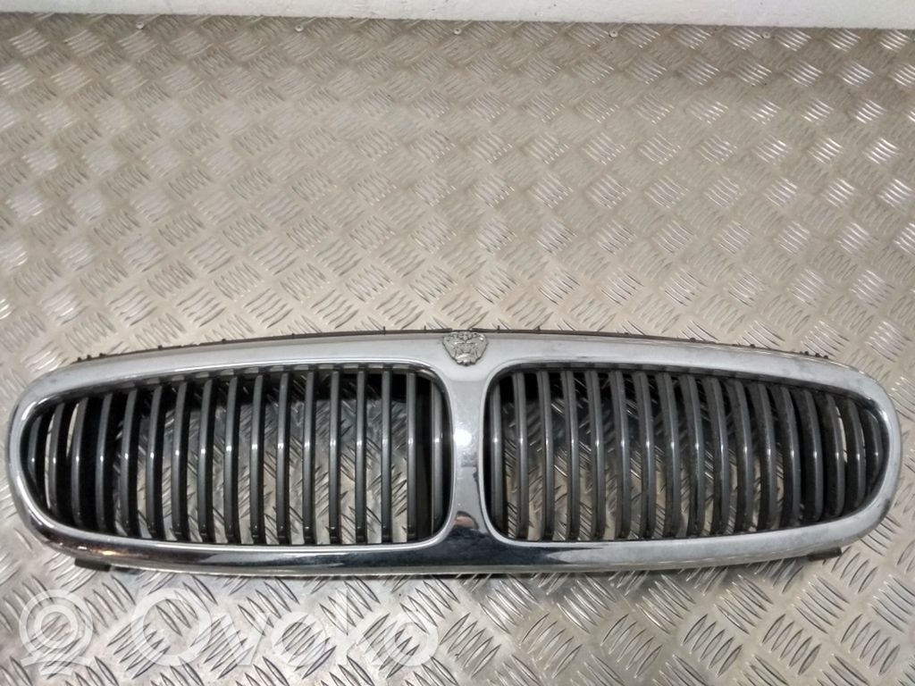 Front grill   1X435510AH