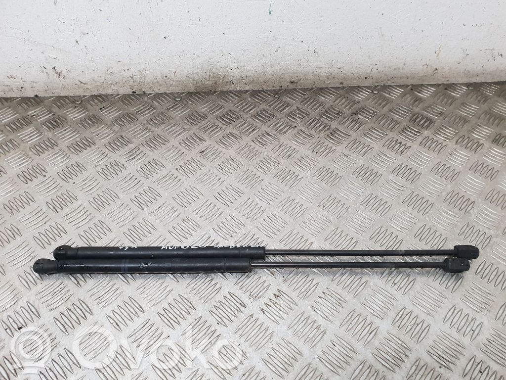 Tailgate/trunk strut/damper