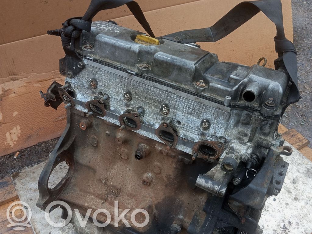 Motor   Y20DTL