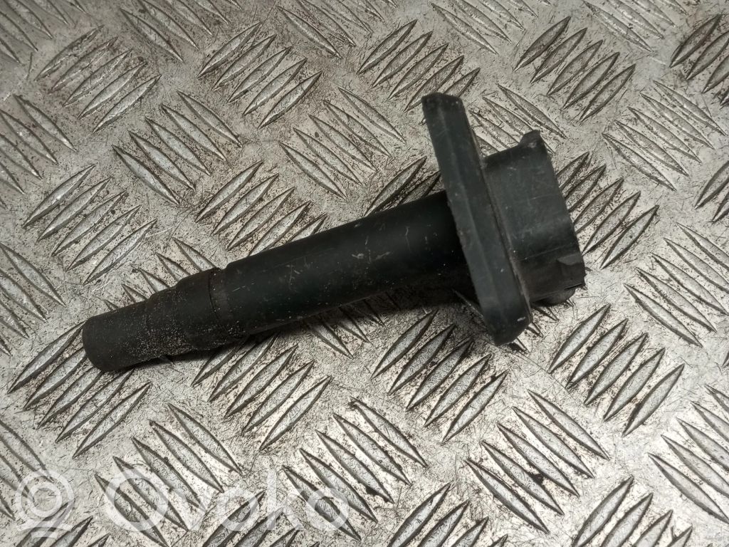 Zündspule Zündmodul   CM11201