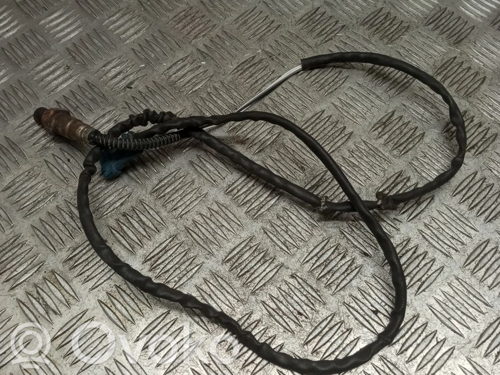 Sonde lambda   258006029