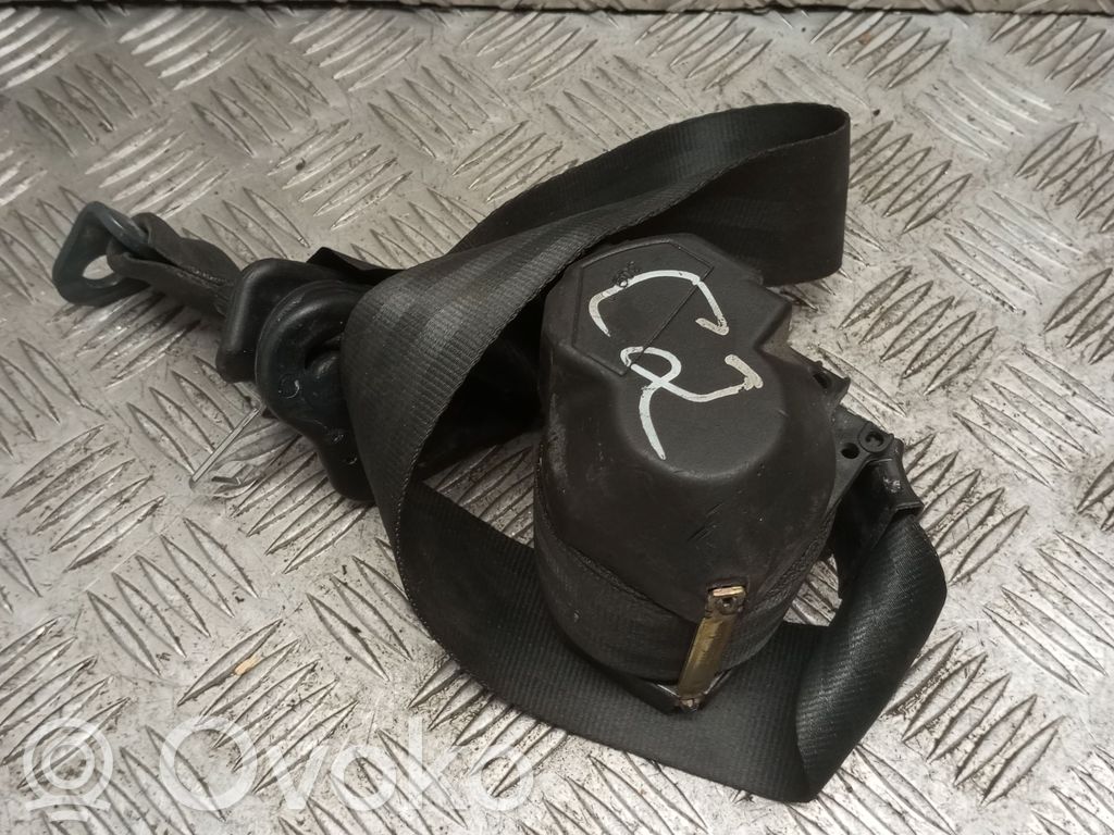 Cinturón trasero   33029503