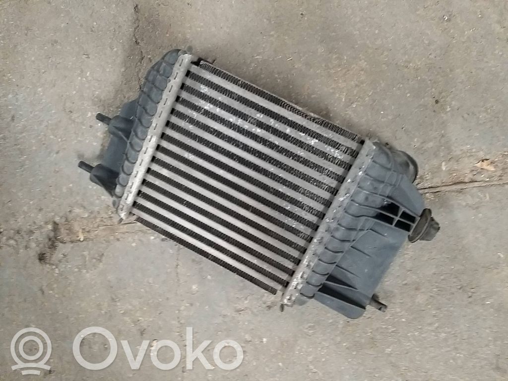 Nissan Note (E12) Interkūlerio radiatorius 