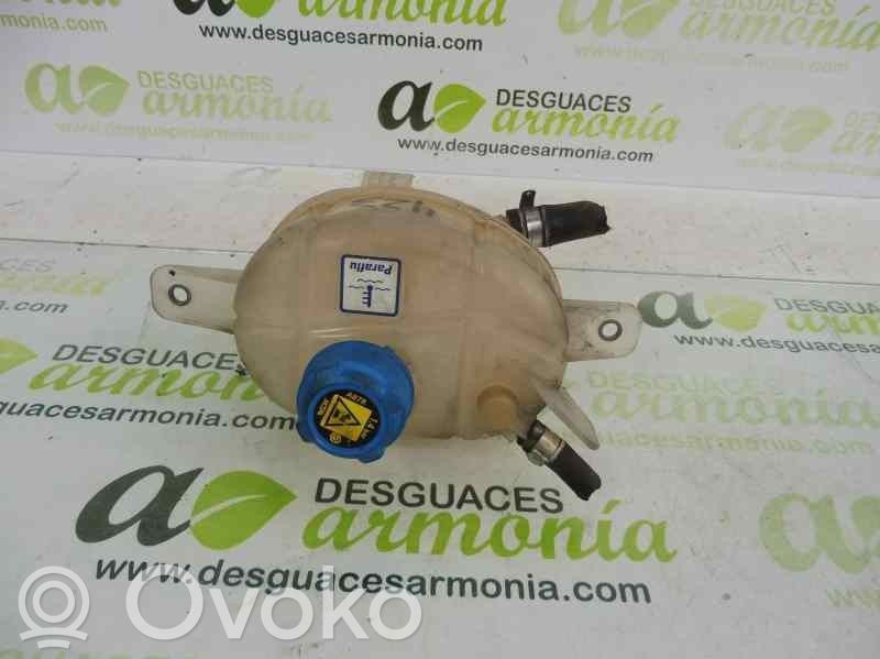 Citroen Nemo Polttoaineen paisuntasäiliö 