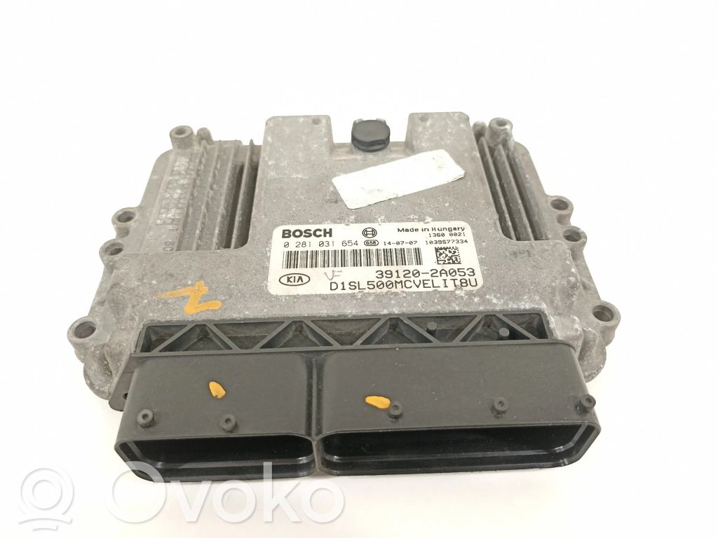 Engine control unit/module   391202A053,281031654