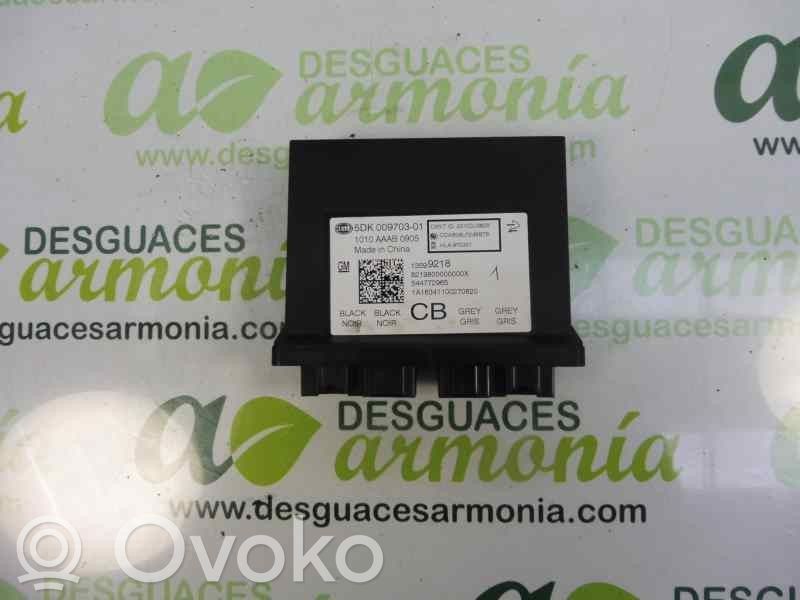 Autres unités de commande / modules   13599218