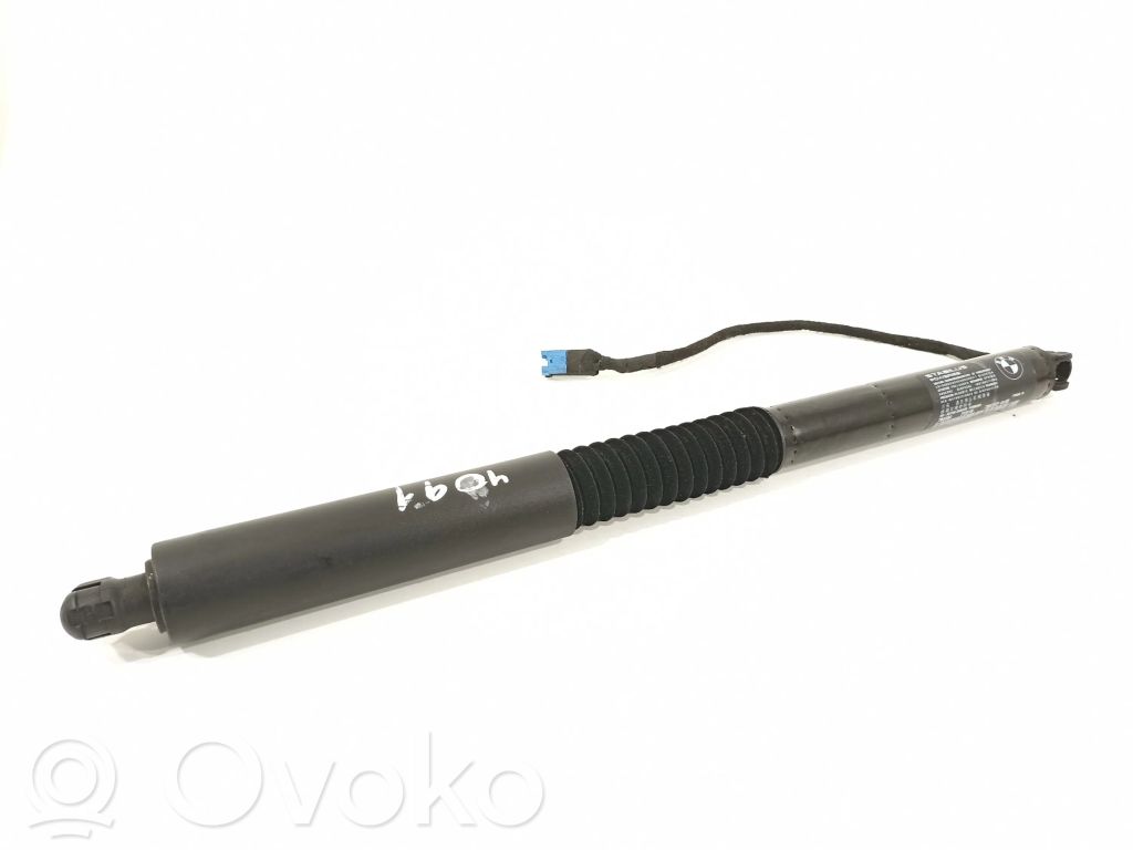 BMW X3 G01 Tailgate/trunk strut/damper 
