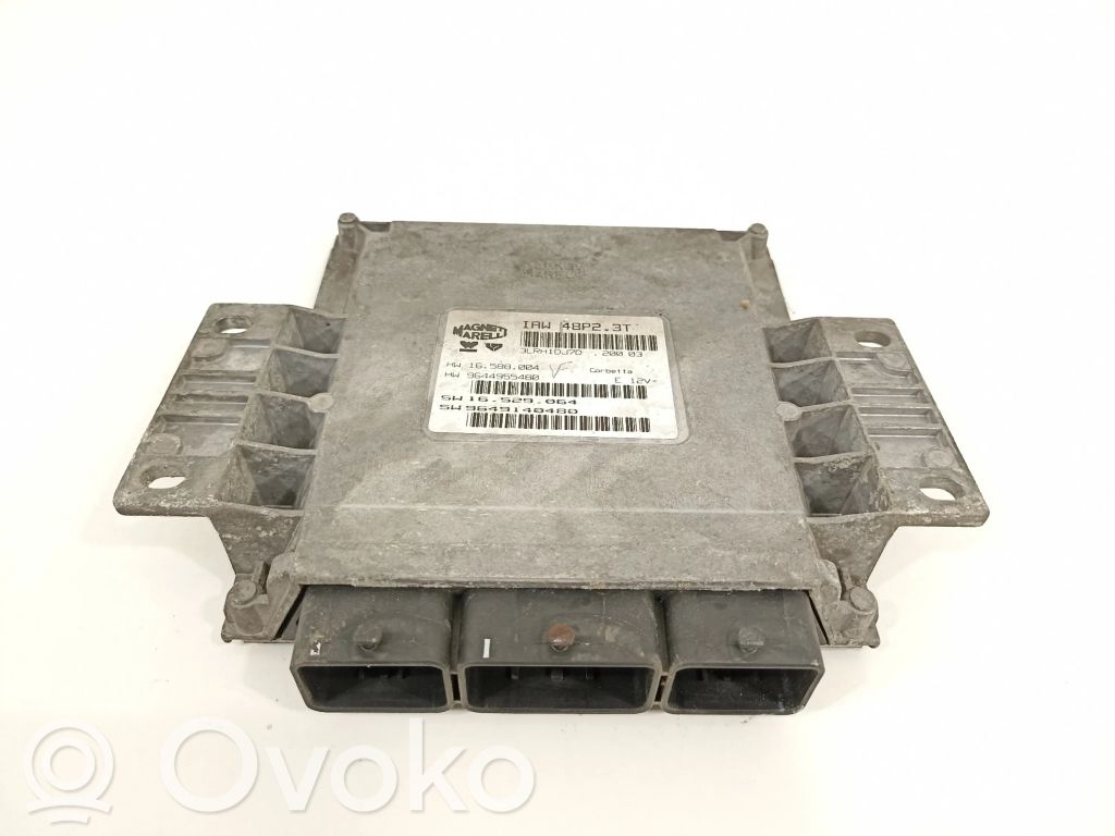Peugeot 206 Engine control unit/module 