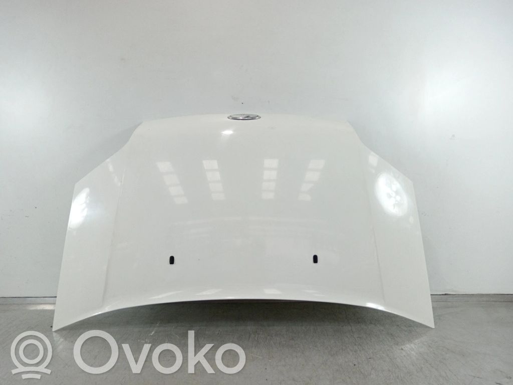 Dzinēja pārsegs (vāks)   4503736,P2T14V16610AB
