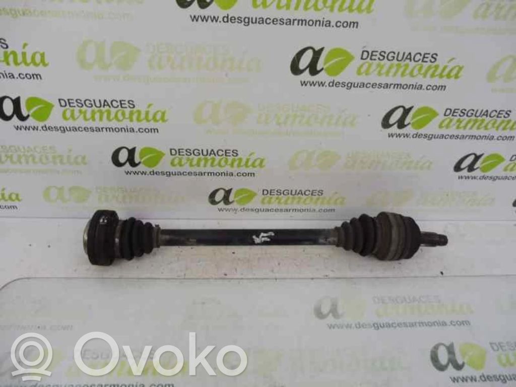 Galinis pusašis   33217518432