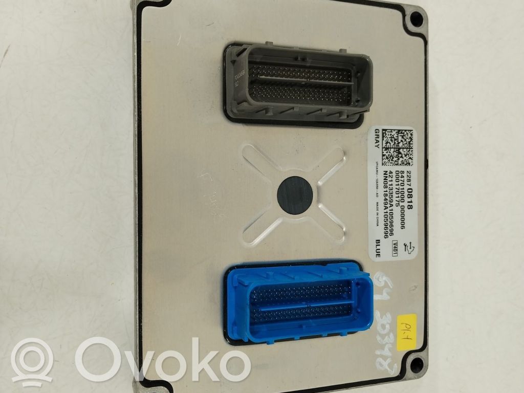 Opel Ampera Engine control unit/module 