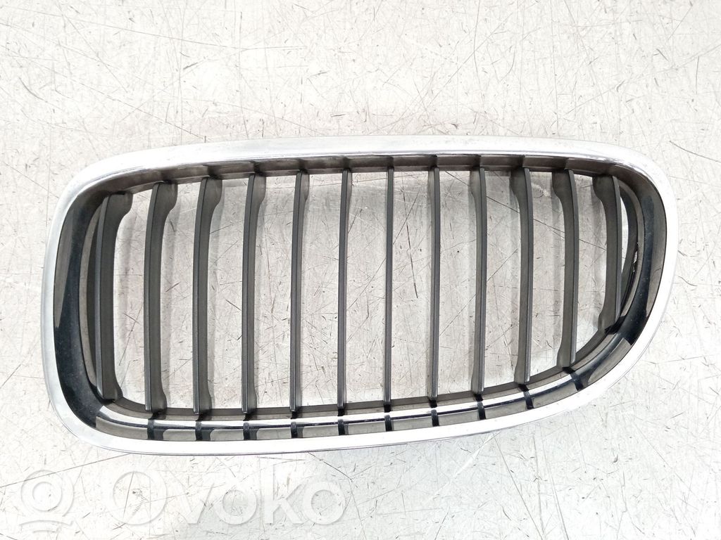 Grille de calandre avant   51137201967,22405910