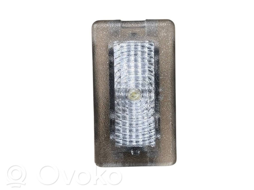 Front seat light   100715170E