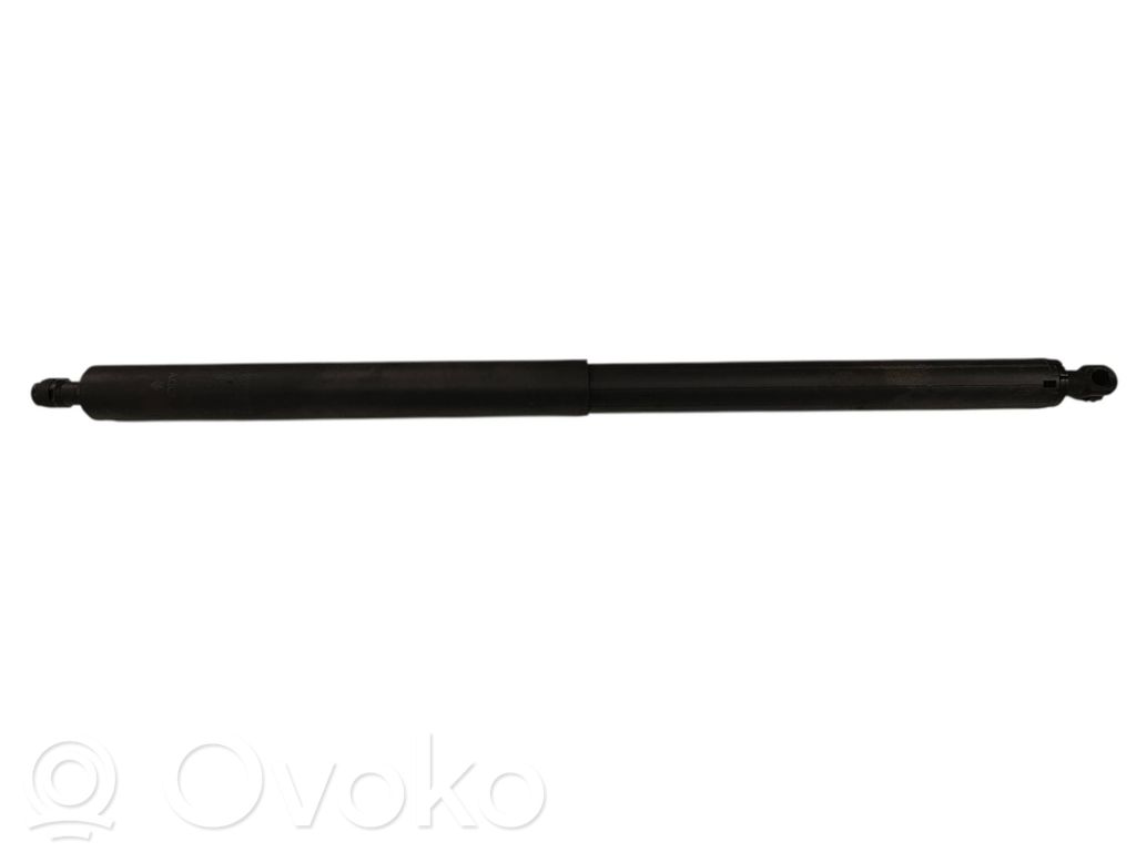 Tesla Model Y Tailgate/trunk strut/damper 
