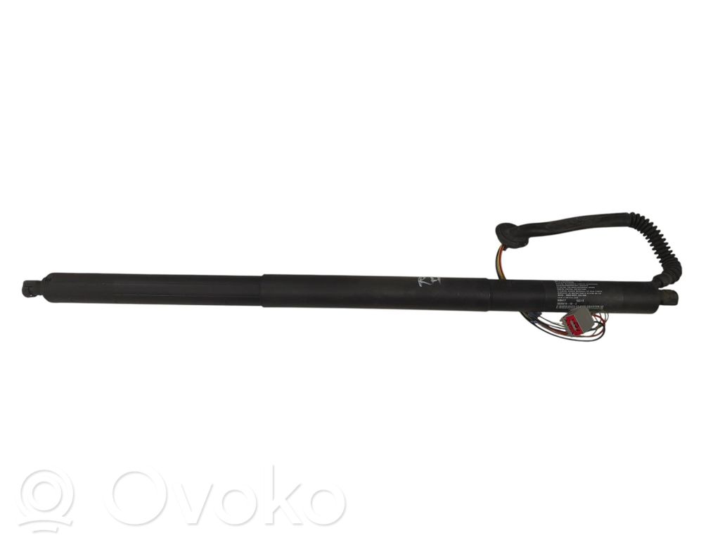 Tesla Model S Tailgate/trunk strut/damper 