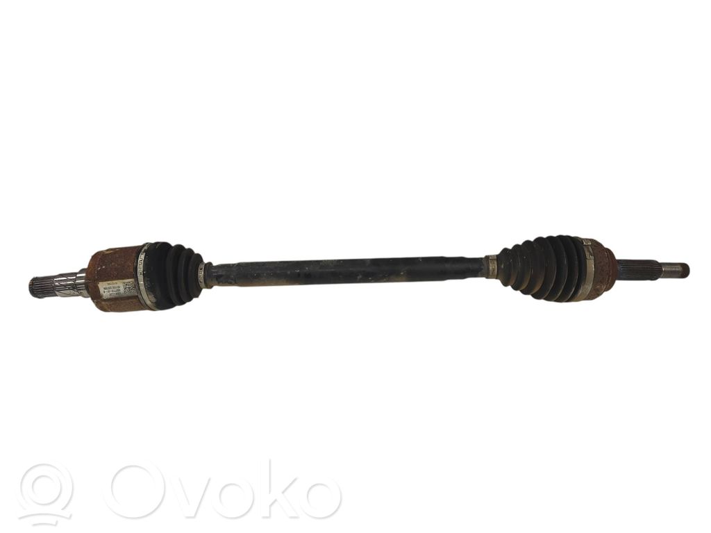 Galinis pusašis   100771901B,0017GC1207806,071217A2