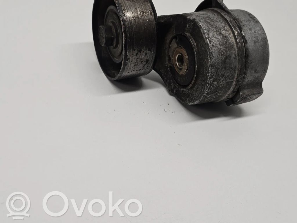 Diržo įtempėjas   252814A000