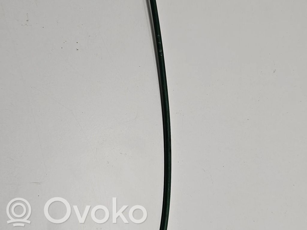 Trosīte