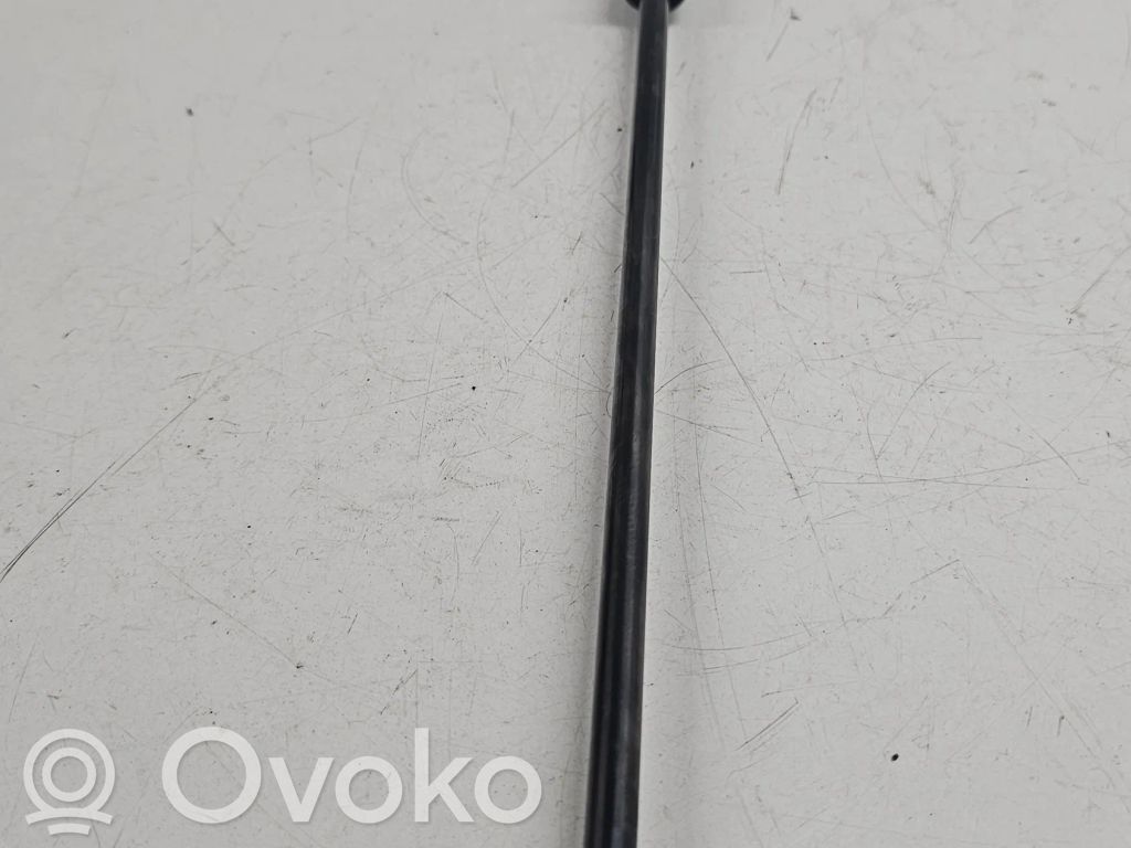 Opel Corsa D Tailgate/trunk strut/damper 