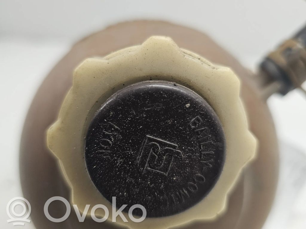 Renault Scenic I Aušinimo skysčio išsiplėtimo bakelis 