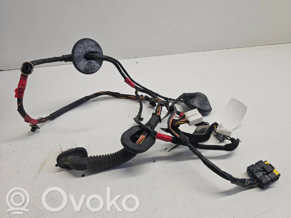 Hyundai Santa Fe Cableado de puerta trasera 