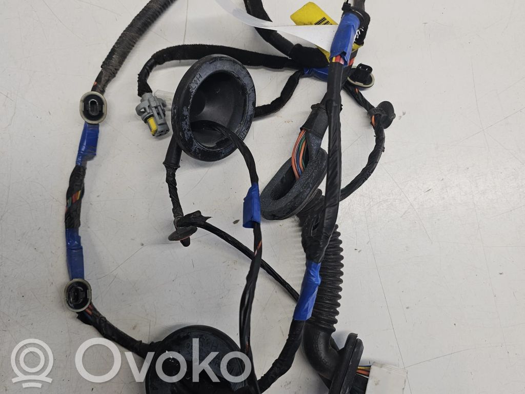 Hyundai Santa Fe Cableado de puerta trasera 