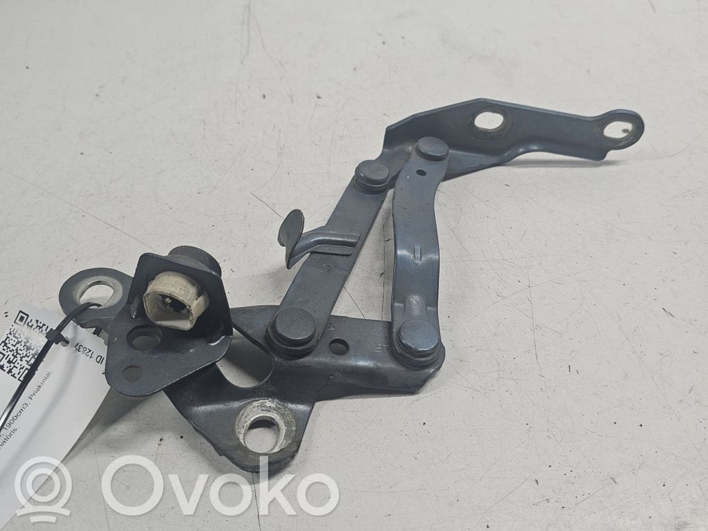Ford Galaxy Konepellin saranat 