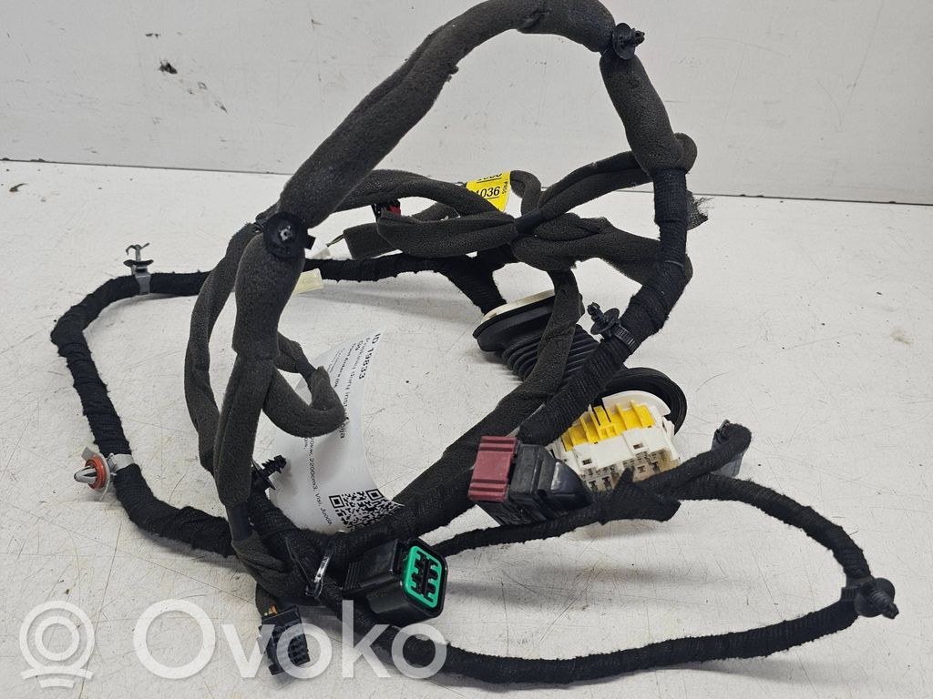 Cableado de puerta delantera   95491036
