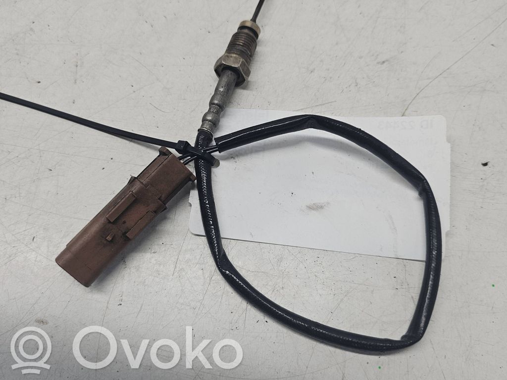 Peugeot 3008 I Exhaust gas temperature sensor 