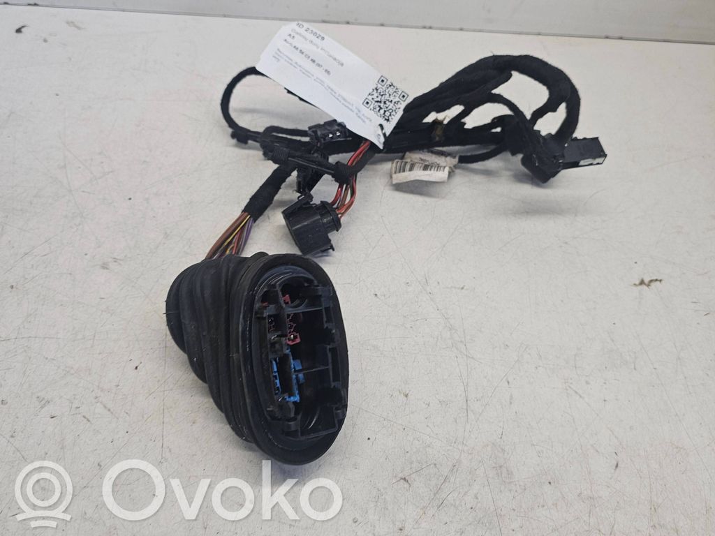 Cableado de puerta trasera   4B0971035AP