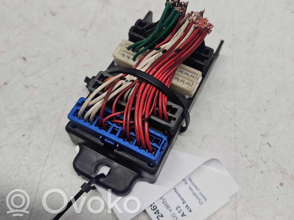 KIA Sorento Other control units/modules 