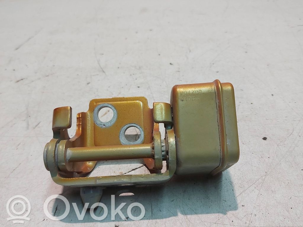 Peugeot 207 Rear door lower hinge 