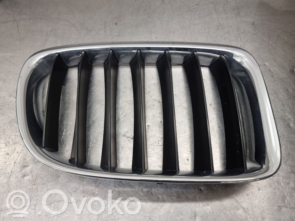 Front bumper upper radiator grill