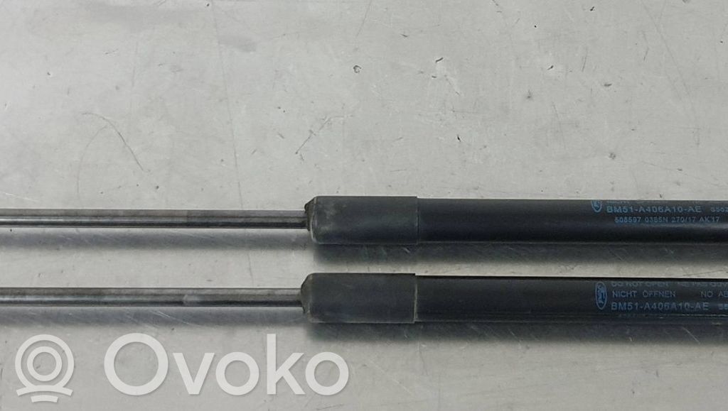 Ford Focus Tailgate/trunk strut/damper 