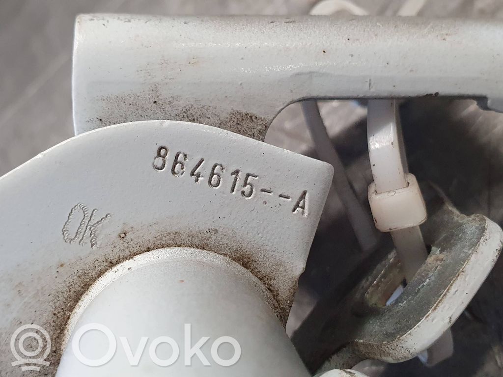 Renault Zoe Front door hinge set 