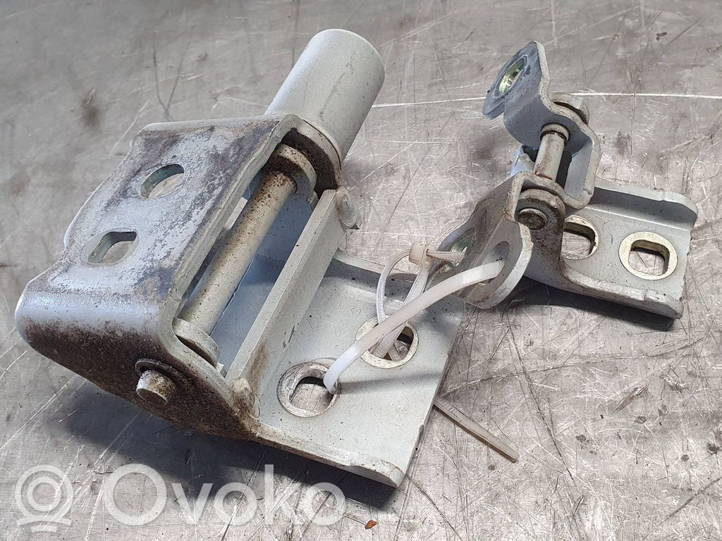 Renault Zoe Rear door hinge set 