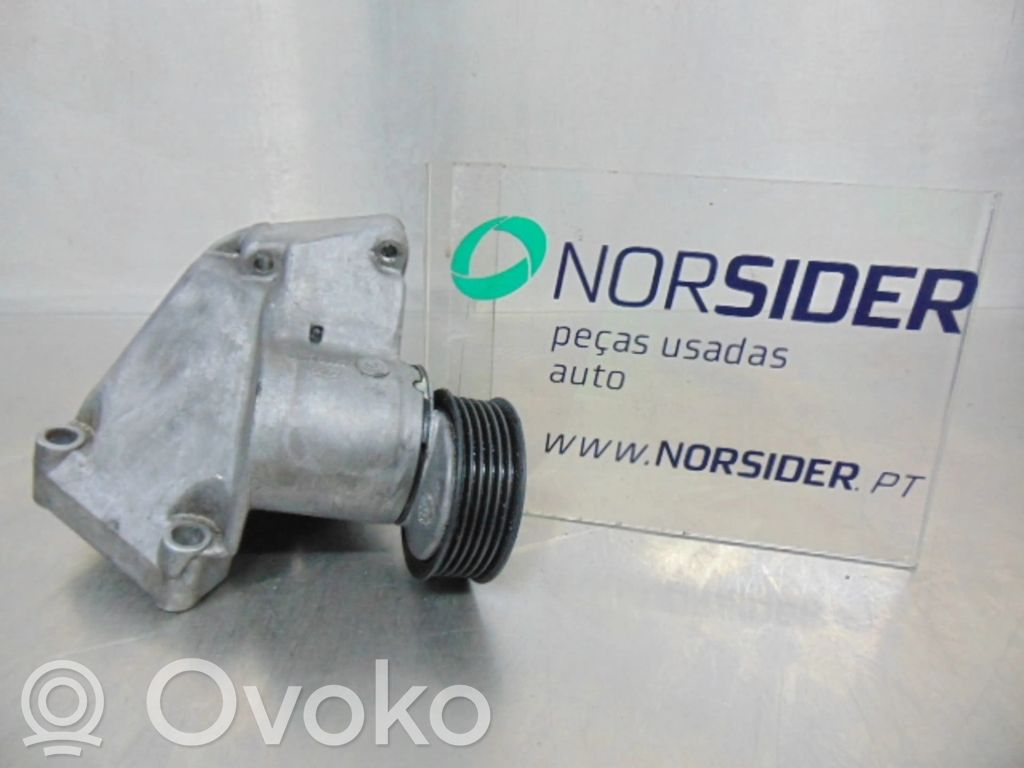 Ford Focus Generator/alternator belt tensioner 