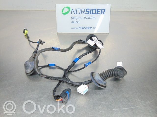 Cableado de puerta trasera   916501H030