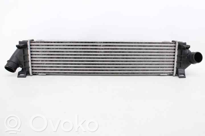Refroidisseur intermédiaire   1746975,6G919L440AE,6G919L440AE