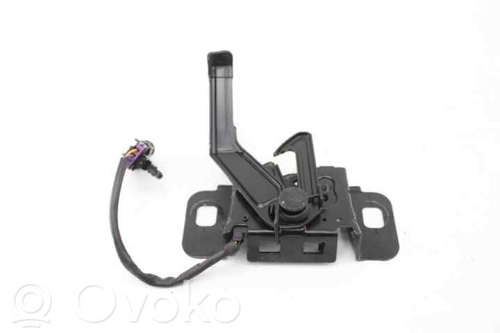 Tie down hook / loop   20938344,22788573