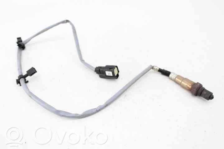 Зонд «Lambda»   C1BA9G444BB,0258010404