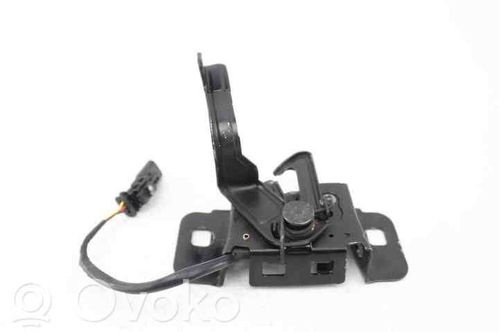 Tie down hook / loop   39085676,39118537