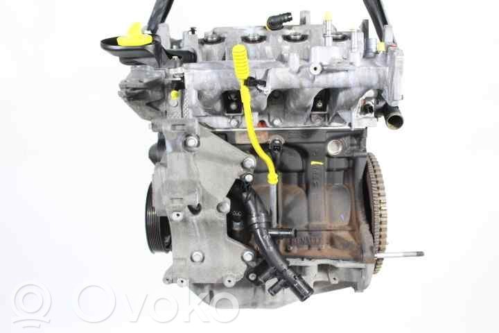 Variklis   8201104739,D4F784
