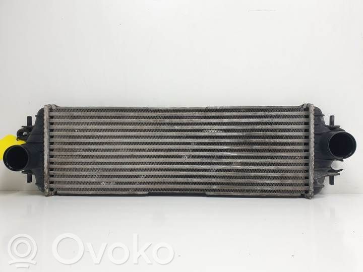 Interkūlerio radiatorius   7700312903,8689260F