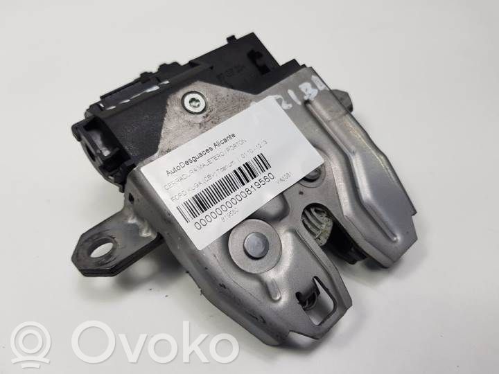 Ford Kuga I Tailgate/trunk/boot lock/catch/latch 